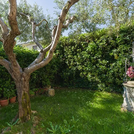 Villino Viola By Interhome Vakantiehuis *